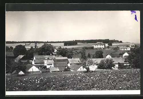 Foto-AK Rybnice, Panorama mit Wohnhäusern