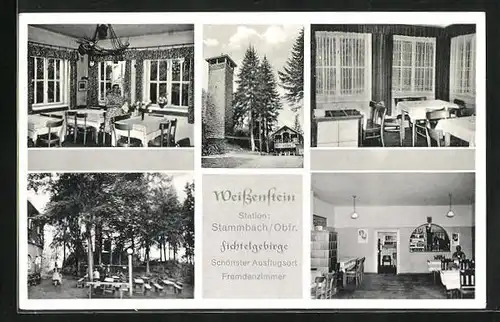 AK Stammbach /Obfr. /Fichtelgebirge, Gasthaus Weissenstein, Innenansicht, Garten