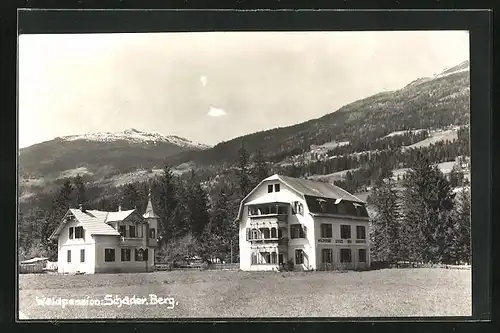 AK Berg im Drautal, Hotel Waldpension Schader