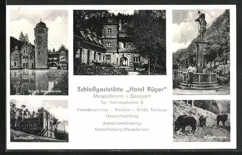 AK Mespelbrunn /Spessart, Schlossgasthof Hotel Rüger