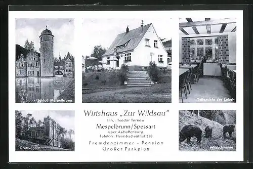 AK Mespelbrunn /Spessart, Gasthaus Zur Wildsau, Schloss
