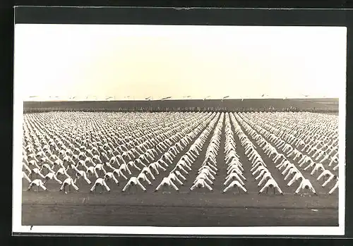 AK Saaz, Landes-Turnfest 1933