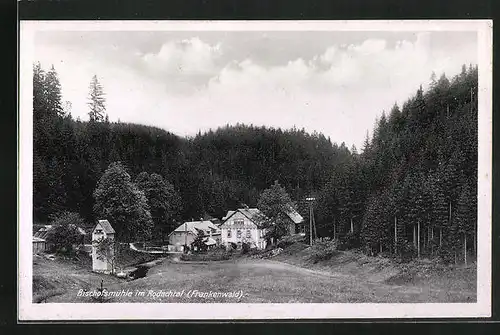 AK Helmbrechts, Gasthof Bischofsmühle