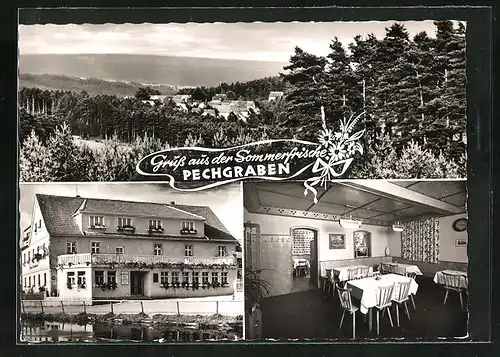 AK Pechgraben, Gasthof Frankenwald, Ortsansicht