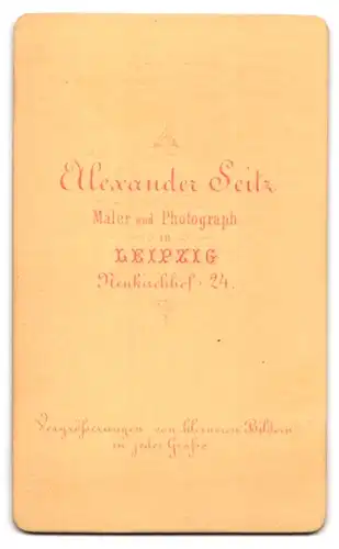 Fotografie Alexander Seitz, Leipzig, Neukirchhof 24, Portrait Dame im Biedermeierkleid mit Schleifen