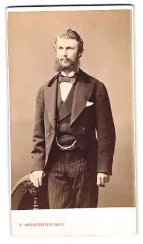 Fotografie F. Springmeier, Elberfeld, Sadowa-Str. 15, Portrait Mann im Anzug mit gestreifter Hose, Vollbart