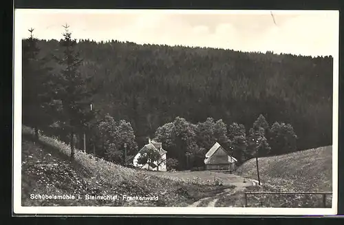 AK Schübelsmühle /Steinachtal, Ortspartie mit Waldstück