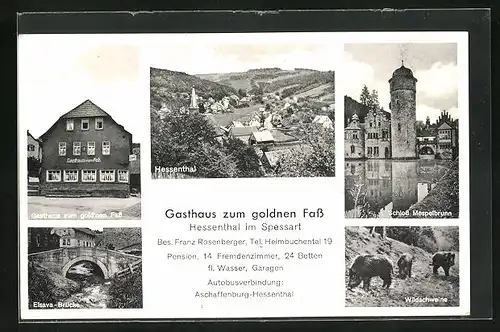 AK Hessenthal im Spessart, Gasthaus zum gold`nen Fass, Elsava-Brücke, Schloss Mespelbrunn, Wildscheine