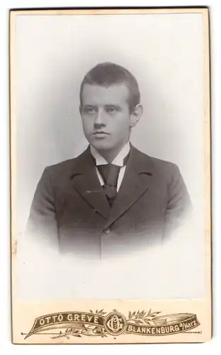 Fotografie Otto Greve, Blankenburg a. Harz, Mauerstrasse 8, Junger Mann in Anzug und Krawatte