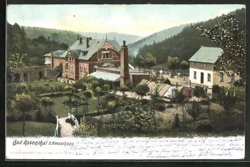 AK Netzschkau, Hotel Bad Rosenthal
