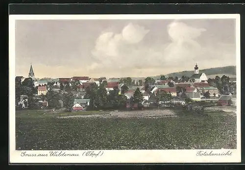 AK Wildenau, Totalansicht der Gemeinde