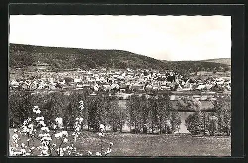 AK Röllfeld /Main, Panorama im Frühling