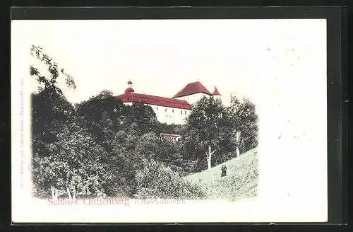 AK Guttenberg /Obfr., Blick hoch zum Schloss