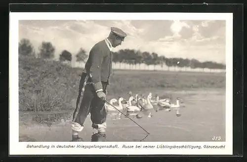 AK Kriegsgefangenschaft, Russe bei der Gänsezucht