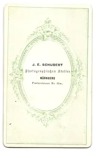 Fotografie J. E. Schubert, Nürnberg, Praterstr. 63a, Portrait Dame im seidenen Biedermeierkleid stehend im Atelier