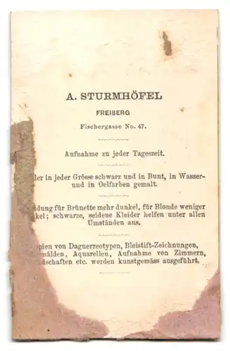 Fotografie A. Strumhöfel, Freiberg, Fischergasse 47, Portrait Dame im karierten Kleid mit bestickter Samthandtasche