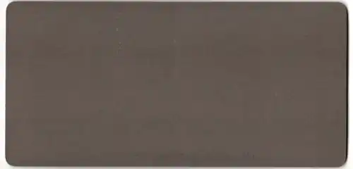 Stereo-Fotografie Underwood & Underwood, New York, Schlange Bullennatter schütz ihr Gelege