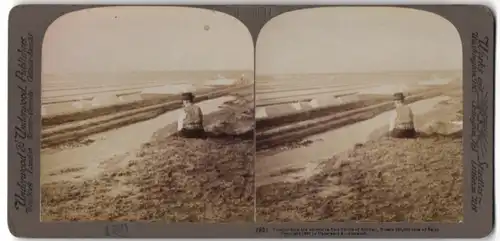 Stereo-Fotografie Underwood & Underwood, New York, Salzfelder einer Saline in Russland
