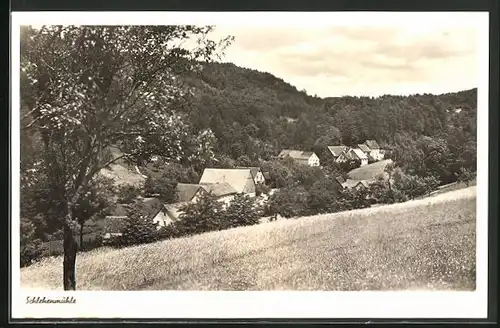 AK Schlehenmühle, Ortsansicht im Schweinthal