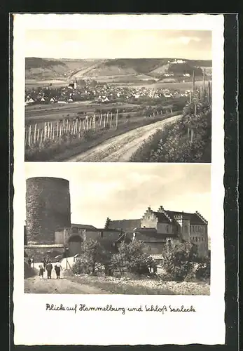 AK Hammelburg, Schloss Saaleck, Ortsansicht