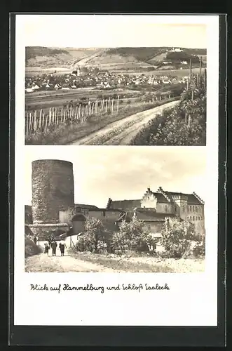 AK Hammelburg, Ortsansicht und Schloss Saaleck