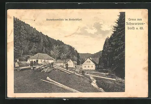 AK Schwarzenbach a. W., Dorschenmühle im Rodachthal