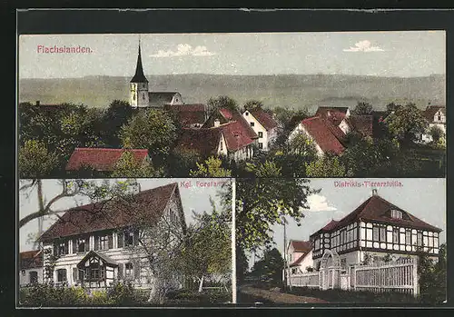 AK Flachslanden, Dirstrikts-Tierarztvilla, Kgl. Forstamt, Panorama mit Kirche