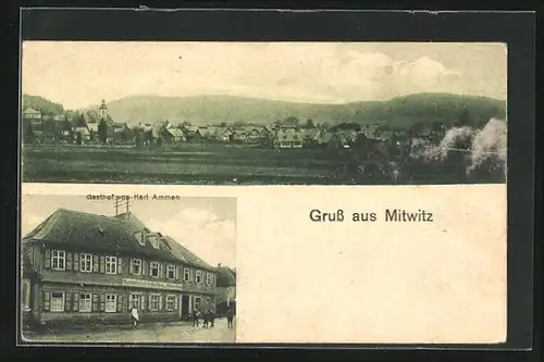 AK Mitwitz, Gasthof von Karl Ammen, Gesamtansicht
