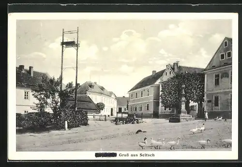 AK Seltsch, Strassenpartie mit Gänsen