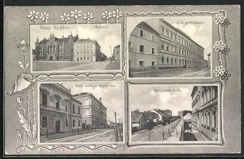 AK Novy Bydzov, Chlapecka skola, C. k. gymnasium, Divci skola a sirotcinec