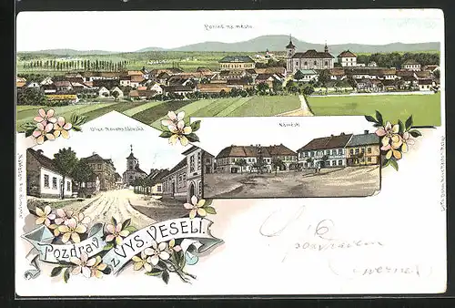 Lithographie Vys. Veseli, Ulice Novobydzovska, Namesti, Panorama