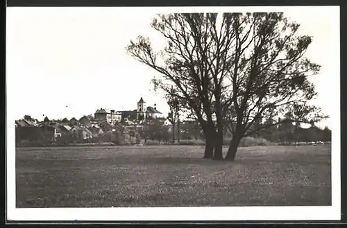 AK Hochwesseln, Panorama