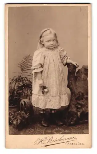 Fotografie H. Brinkmann, Osnabrück, Augustenburgerstrasse 12, Portrait kleines Mädchen im karierten Kleid