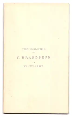 Fotografie F. Brandseph, Stuttgart, Portrait älterer Herr mit Bart und Fliege