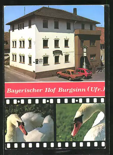 AK Burgsinn /Spessart, Hotel Bayerischer Hof mit Autos, Schwäne