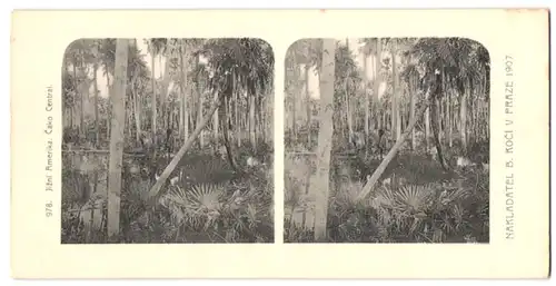 Stereo-Fotografie Lichtdruck Bedrich Koci, Prag, Südamerika Expedition 1907, Jizni Amerika, Cako Central