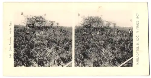 Stereo-Fotografie Lichtdruck Bedrich Koci, Prag, Südamerika Expedition 1907, Jizni Amerika, Indiani Toba