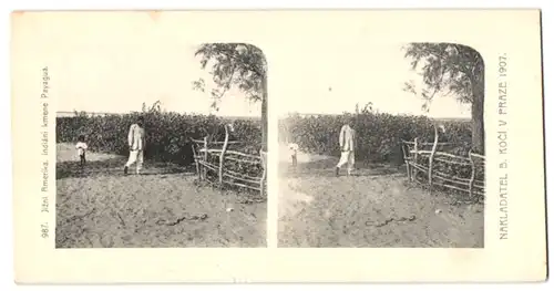 Stereo-Fotografie Lichtdruck Bedrich Koci, Prag, Ansicht Payagua, Südamerika 1907, Jizni Amerika, Indiani kmene