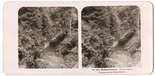 Stereo-Fotografie NPG, Berlin-Steglitz, Ansicht Oppenau, Allerheiligen, Eingang zu den Wasserfällen