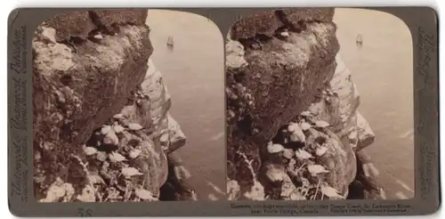 Stereo-Fotografie Underwood & Underwood, New York, Ansicht Perce Village / Kanada, Vögel brüten am St. Lawrence River