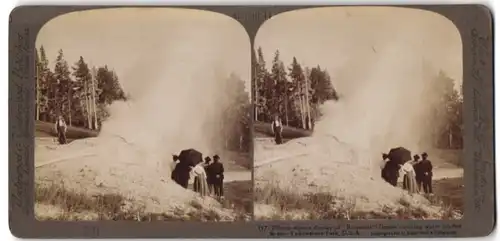Stereo-Fotografie Underwood & Underwood, New York, Ansicht Yellowstone Park, Geysir Riverside
