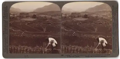 Stereo-Fotografie Underwood & Underwood, New York, Ansicht Aso-San / Japan, Blick über alten Vulkankrater nach Kumamoto