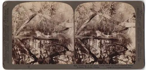 Stereo-Fotografie Underwood & Underwood, New York, Ansicht Muskoka / Kanada, Kanuten auf dem Shadow River