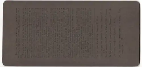 Stereo-Fotografie Underwood & Underwood, New York, Ansicht Kansas, Blick über ein Maisfeld