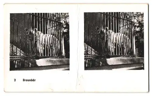 20 Stereo-Fotografien mit Stereobetrachter Omnia-Verlag Tiere Serie Aus dem Zoo