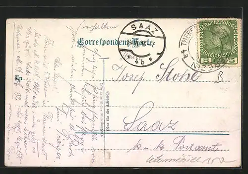 AK Leitmeritz / Litomerice, Dampfer Stadt Wehlen am Elbufer