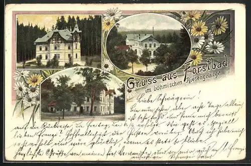 AK Forstbad, Villa, Ortspartie