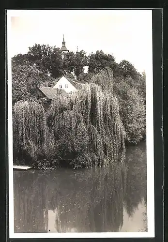 AK Trebechovice p. O., Uferpartie mit Trauerweide
