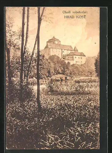 AK Kost, Hrad, Burg mit Teich