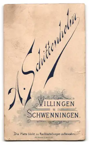 Fotografie A. Schittenhelm, Villingen, Fräulein in kariertem Kleid mit Ohrringen